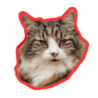 Devils AdvoCAT (@devilsadvocat47) 's Twitter Profile Photo Devils AdvoCAT (@devilsadvocat47) 's Twitter Profile Photo