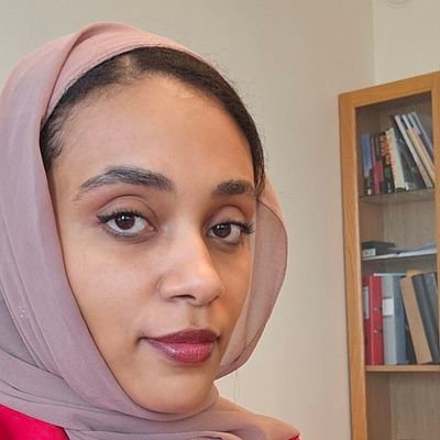Diplomat/Foriegn Service /Motivator. DHM Sudan Embassy🇸🇩 to Sweden🇸🇪 and 🇫🇮 🇪🇪 🇱🇹 🇱🇻