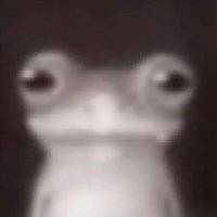 froogi (@froogifreaky) 's Twitter Profile