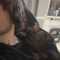 wyatt (@drmtea) Twitter profile photo