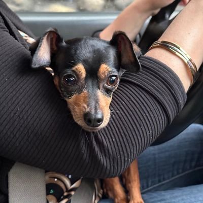 jhazmin_marin's profile picture. 