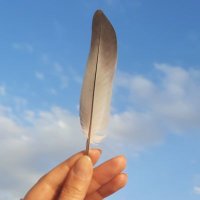 !nci! (@inci_brs) Twitter profile photo