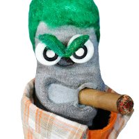 Ed the Sock (@edthesock) 's Twitter Profile Photo Ed the Sock (@edthesock) 's Twitter Profile Photo