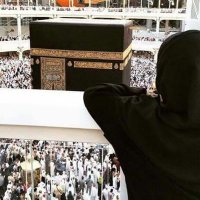 بَراءْ شَريف🌻 (@braashareef) 's Twitter Profile