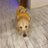 Mantea97339200's profile image