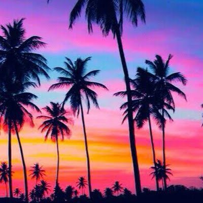 Shamble82's profile picture. 