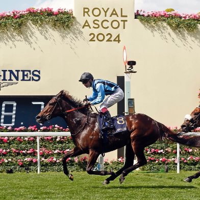 Henry Dwyer Racing Profile