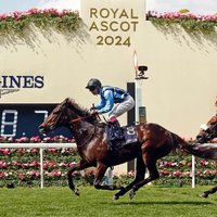 Henry Dwyer Racing (@hdwyerracing) 's Twitter Profile Photo Henry Dwyer Racing (@hdwyerracing) 's Twitter Profile Photo