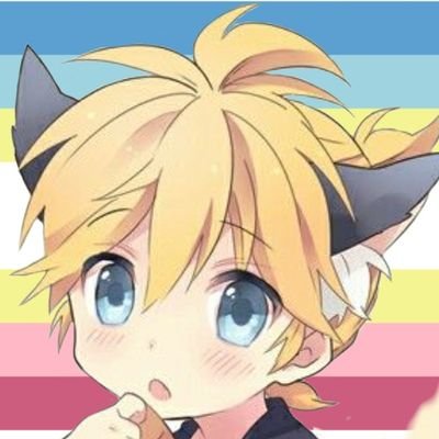 nsfw account, 21 year old male femboy, No minors, block don't report Sexuality- Bi, position mostly bottom, dms for rp, erp and drp, No limits