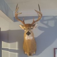 Chris Regan (@chrisre66377265) 's Twitter Profile