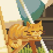 jacksonpr590's profile picture. 