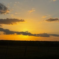 SandHills (@sandhillstx) 's Twitter Profile