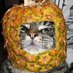 addicted2pineapples (@gmxtard) Twitter profile photo addicted2pineapples (@gmxtard) Twitter profile photo