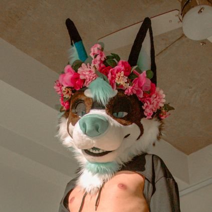 WuffThingAD's profile picture. Name's Sancu
🔞/23/🇨🇦/switch/wuff/likes dick
Minors BEGONE