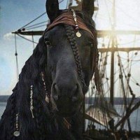 Trump/#MAGA 2024 🐴🐶 (@lynnesaucier) 's Twitter Profile