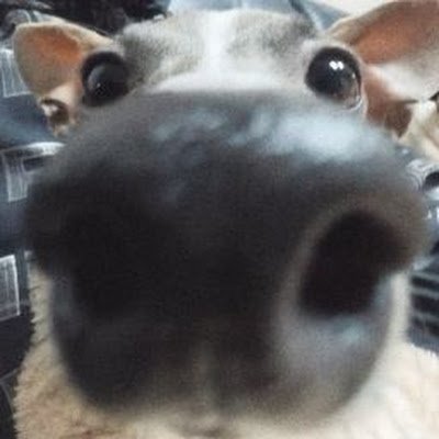 KarinaVict5820's profile picture. 