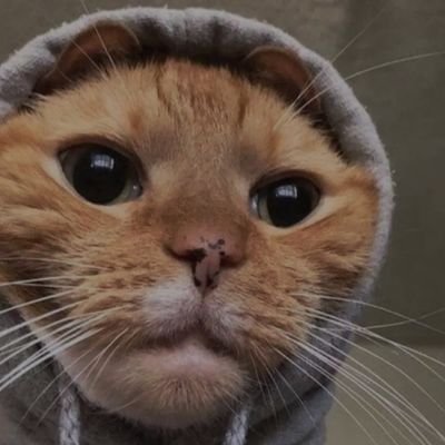 jmath1983's profile picture. Só adiciono com scrap.