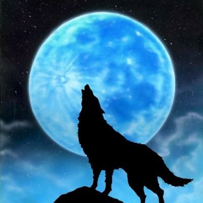 STR1948544's profile picture. こちら拡散アカウントになります✨
フォロワーを増やしてほしい方、拡散してほしいことがあるかた是非フォローお願い致します！