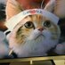 猫 (@fera_lovew) Twitter profile photo 猫 (@fera_lovew) Twitter profile photo