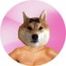 Bitch Doge (@bitchdogecoin) Twitter profile photo Bitch Doge (@bitchdogecoin) Twitter profile photo
