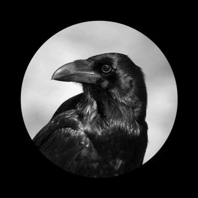 uyaCS2's profile picture. cs player