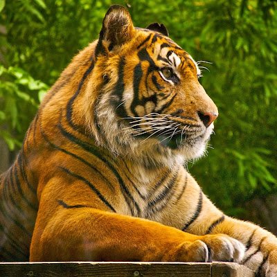 Bjkiama's profile picture. 