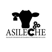 ASILECHE (@asileche) 's Twitter Profile Photo ASILECHE (@asileche) 's Twitter Profile Photo