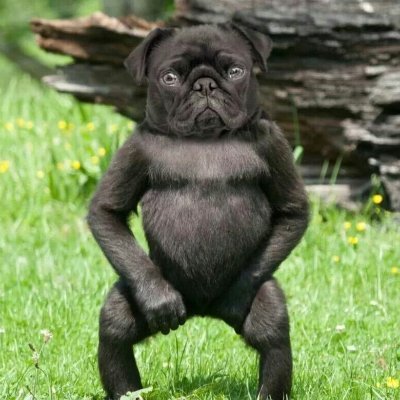 dllm3278's profile picture. 