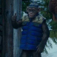 77 (@jdpthekid) 's Twitter Profile Photo 77 (@jdpthekid) 's Twitter Profile Photo