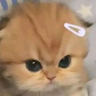 kyurrydon's profile picture. 🍛