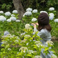 marimo☆ (@umimarimo111) 's Twitter Profile