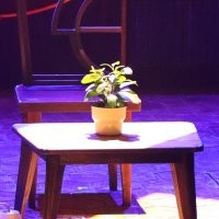 π―λλπ― (@dongnusric) 's Twitter Profile