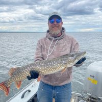 Mike (@mikegulseth) 's Twitter Profile