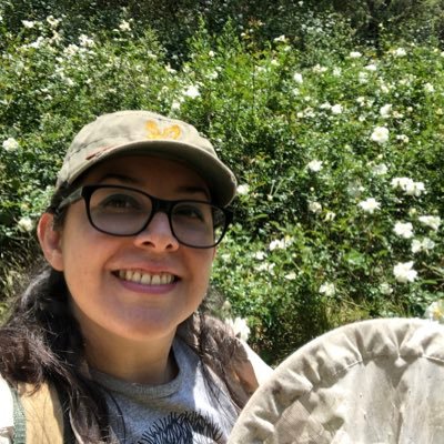 Exploradora del mundo de los insectos, de catálogos taxonómicos antiguos y de los patrones de la naturaleza. 🐜🦗🐞