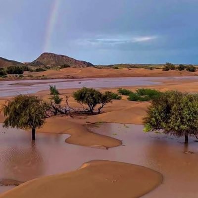 عبدالله العتيبي photo