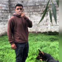 Tomi Paredes (@tomip23203) 's Twitter Profile