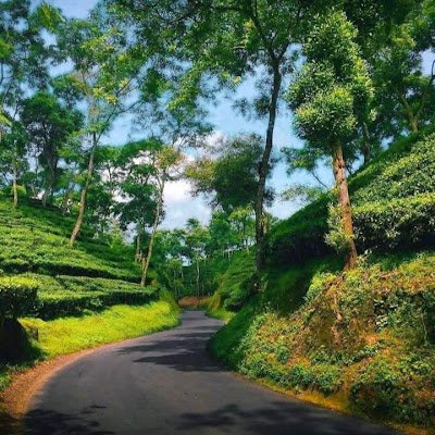 SalmaRahma18584's profile picture. 