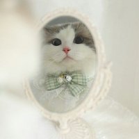 ここな (@0730k_) Twitter profile photo