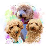 みんみん (@minminxdesu) Twitter profile photo