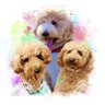 minminxdesu's profile picture. みやざわ劇場♡ 箱推し大吟醸くん🐩 カドリーホール♡プーキーズ🐒 わんわん大サーカス大福青葉🐶推🩷みんなᶫᵒᵛᵉ♡仲良くしてください