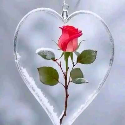 fkmt1101's profile picture. َّسيِّفِّتّحٌ آلَلَهِ بِآبِآً ګنِتّ تّحٌَّسبِهِ لَمَ يِّخَلَقِ بِمَفِّتّآحٌ🔑    
   
حٌَّسآبِيِّ آلَآَّسآَّسيِّ 
@ahme8141