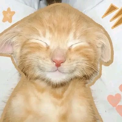 raeyttt's profile picture. jungwonbby