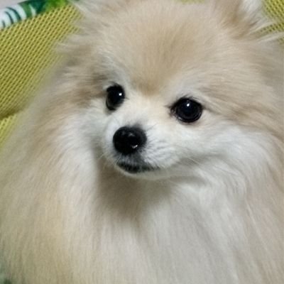 HiroOh558497995's profile picture. 