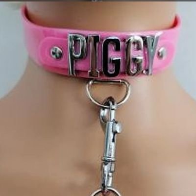 Believer of female supremacy.
l answer to names like beta, loser, pig, worm, pet. wallet..