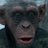 lescher_jack's profile image