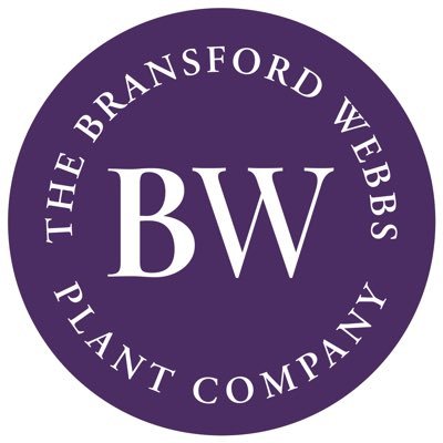 Welcome to Bransford Webbs. We are a British grower selling hardy & perennial plants to garden centres accross the UK. If you love plants then please follow us