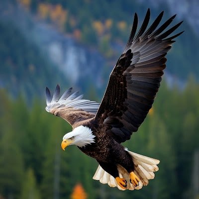 opmeenao280's profile picture. 