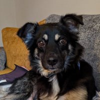 Sooz (@xxsoozxx) 's Twitter Profile