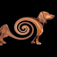 stochastic gradient dachshund (@ambigrammarian) 's Twitter Profile Photo