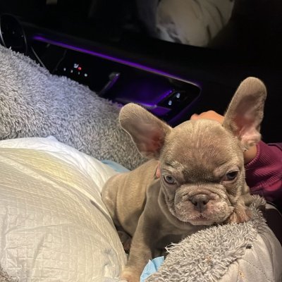 CompLiquidity's profile picture. Researching liquidity, market dynamics, and price behavior across crypto markets.